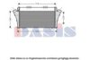 OPEL 13167338 Intercooler, charger